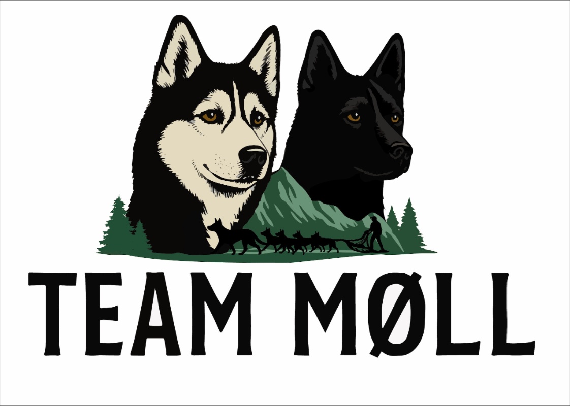 Team Møll
